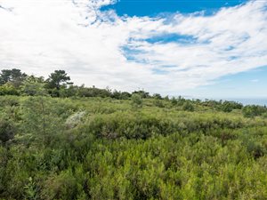 3 ha Land available in Victoria Bay