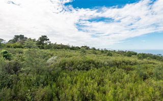 3 ha Land available in Victoria Bay