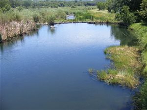 Game Farm in Loskop Dam