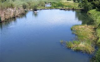 Game Farm in Loskop Dam