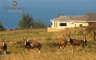 1387 m² Land available in Cintsa