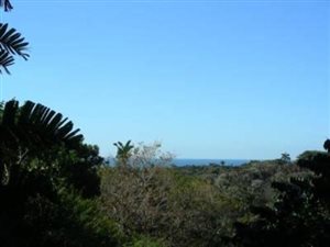 1229 m² Land available in Trafalgar