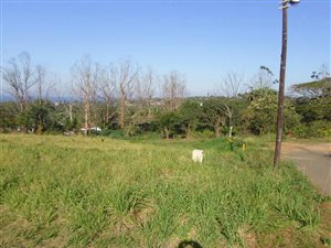 1462 m² Land available in Umkomaas