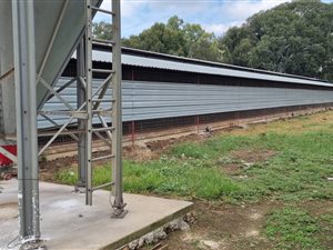 22.2 ha Farm in Bapsfontein