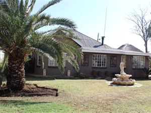 7800 m² Farm with House in Vyfhoek