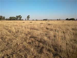 2.1 ha Land available in Sherman Park AH