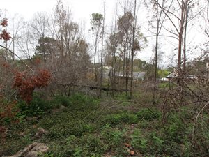 1242 m² Land available in Welbedacht