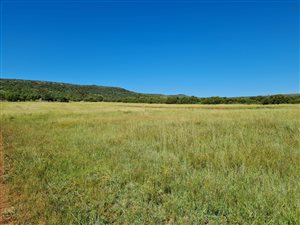 12 ha Farm with House in Koster