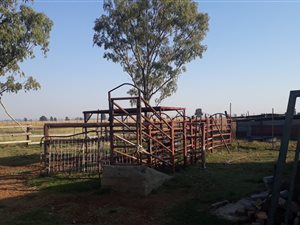 136 ha Farm in Leeudoringstad