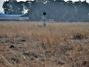 2.2 ha Land available in Nelsonia