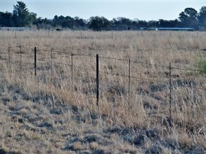 2.2 ha Land available in Nelsonia