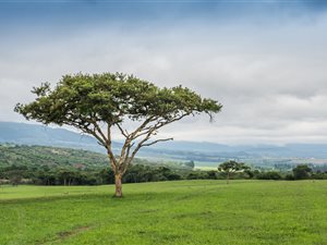 20.3 ha Farm in Ottos Bluff