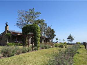 31 ha Farm in Knysna Central