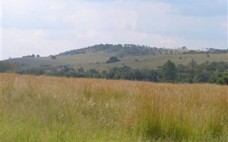 5 ha Land available in Rietfontein