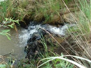 5 ha Land available in Rietfontein
