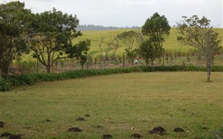 Farm in Port Shepstone
