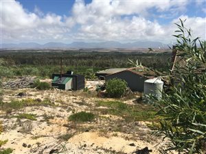 268 ha Farm in Albertinia
