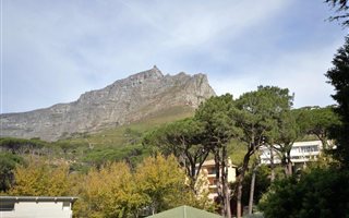 3 Bedroom House in Higgovale