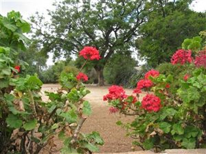 1020 m² Land available in Oudtshoorn