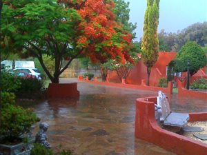 20 Bed House in Waterglen