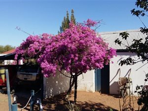 2 Bed House in Aurora