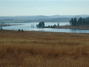 35 ha Land available in Merrivale