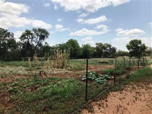 65 ha Farm in Byenespoort