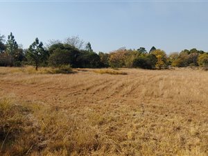 20 ha Land available in Hesteapark
