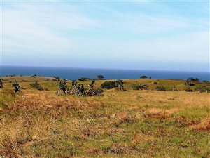 16.8 ha Land available in Port Edward