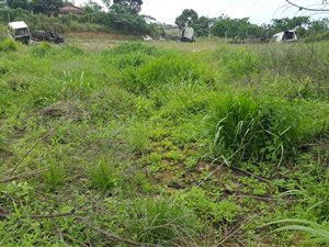 4400 m² Land available in Verulam