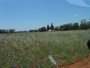 1900 m² Land available in Highbury