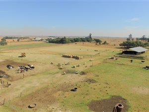 10.8 ha Farm in Bronkhorstspruit