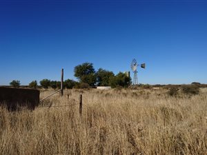 2157 ha Farm in Hopetown