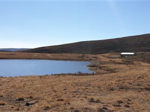 161 ha Farm in Impendle