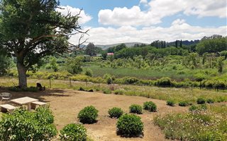 3 Bedroom House in Rosetta