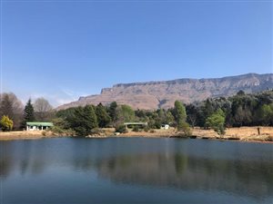 25 ha Farm in Kamberg