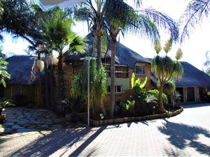 1 ha Farm in Leeuwfontein