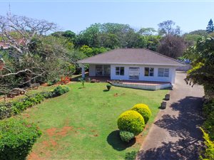 3 Bed House in Pennington