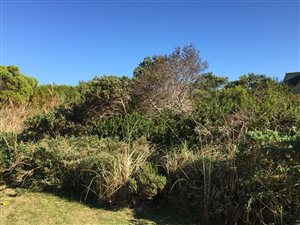 600 m² Land available in Bettys Bay