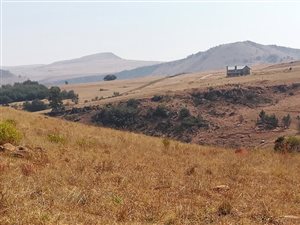 875 m² Land available in Dullstroom