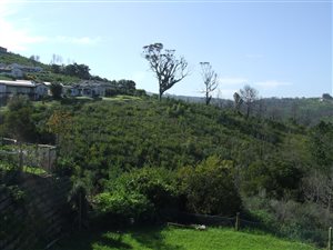 1009 m² Land available in Eastford Glen