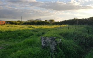 1339 m² Land available in Klipheuwel