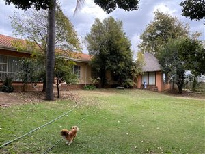 265 m² Commercial space in Amorosa