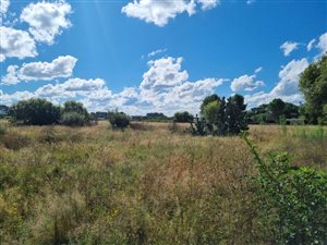 4 ha Farm in Roodewal and surrounds