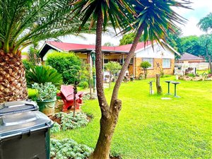 3 Bed House in Springs Central