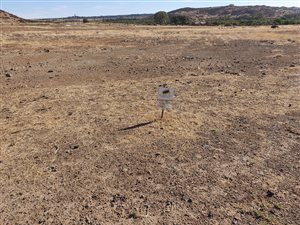 1000 m² Land available in Woodland Hills