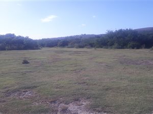 15 ha Farm in Hartenbos