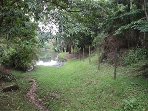 1.9 ha Farm in Umzumbe
