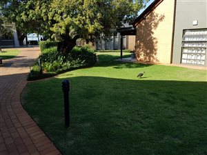 1 Bed Townhouse in Retire at Midstream