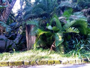 2119 m² Land available in Southbroom